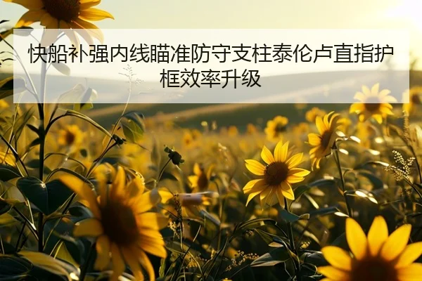 快船补强内线瞄准防守支柱泰伦卢直指护框效率升级